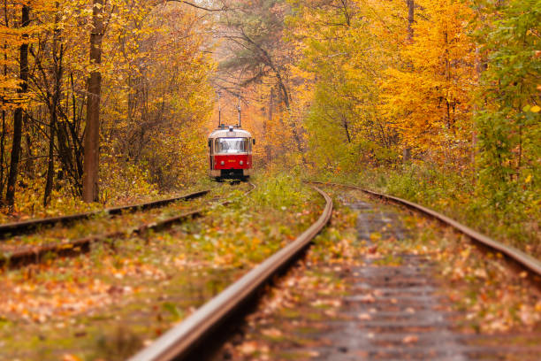 istock autumn forest among which goes a strange tram 1024055640