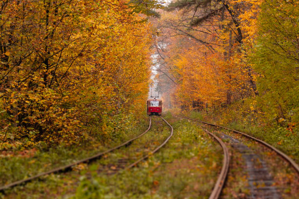 istock autumn forest among which goes a strange tram 1024055696