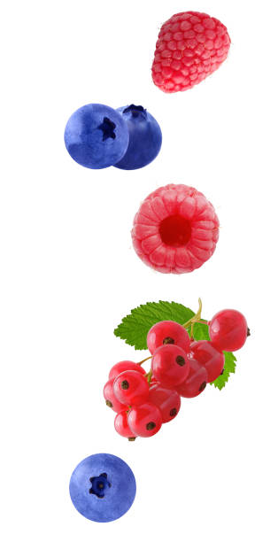 istock Flying berry fruits isolated on white 1024055978