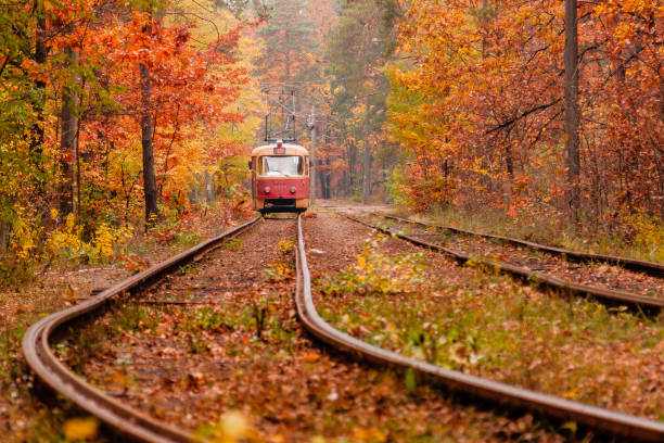 istock autumn forest among which goes a strange tram 1024056156
