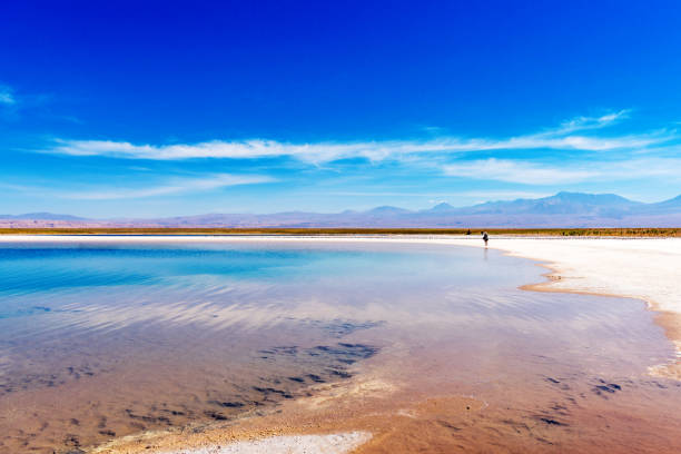 istock Landscape in Atacama desert, Salt Lake, Chile. Copy space for text. 1024079214