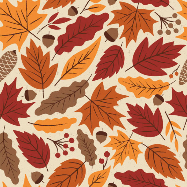 ilustraciones, imágenes clip art, dibujos animados e iconos de stock de otoño hojas de patrones sin fisuras. - fall background