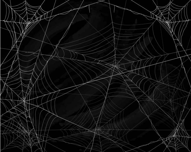 Black Halloween background with spiderwebs Black grunge background with spider webs, illustration. spooky stock illustrations
