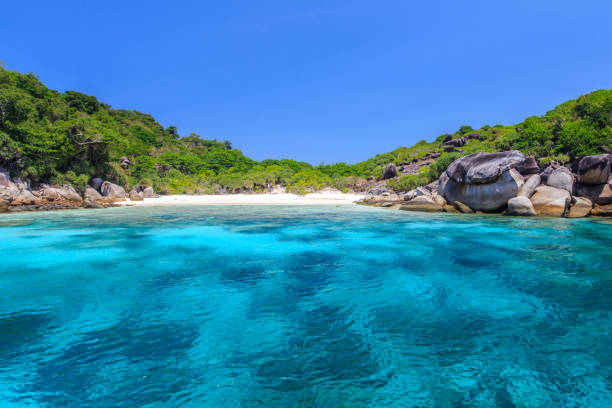 istock Crystal clear water and white sand beach 1024095414