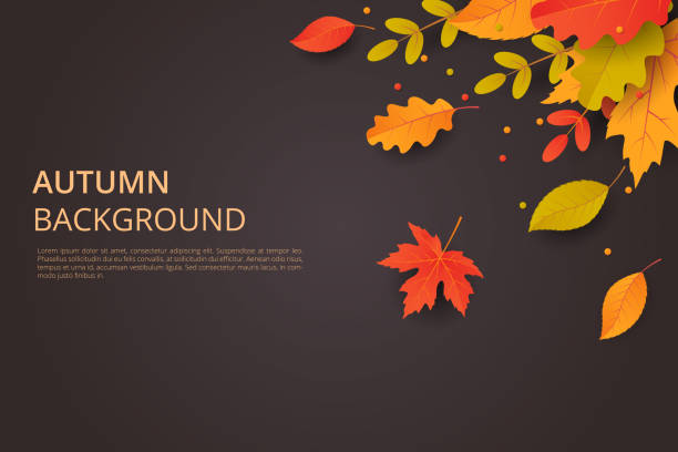 ilustraciones, imágenes clip art, dibujos animados e iconos de stock de fondo de otoño con hojas. puede ser utilizado para cartel, banner, flyer, invitación, página web o tarjeta de felicitación. ilustración de vector - otoño