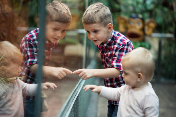 istock Kids watching reptiles in terrarium through glass. 1024106220