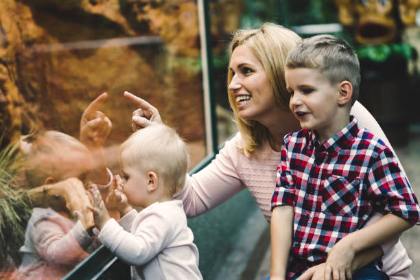 madre con sus hijos mirar tortugas en parque zoológico - zoo fotografías e imágenes de stock