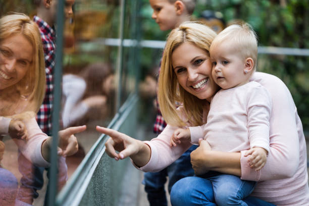 istock Mother with her sons looking at turtle in zoo 1024106438