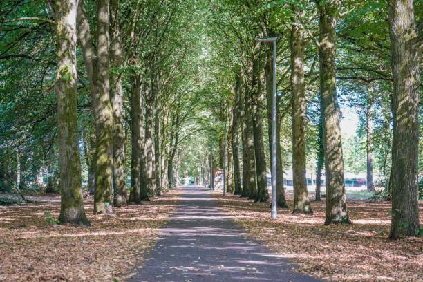 istock Park in Lingen Ems 1024106634