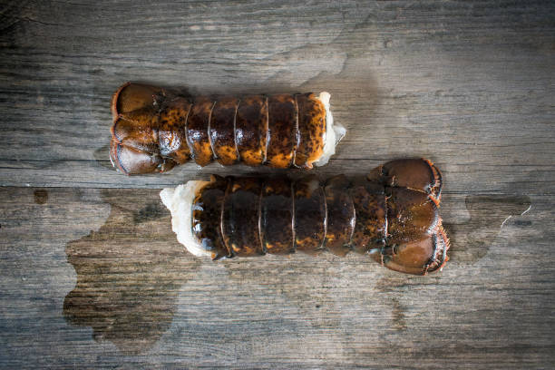fresh lobster tails fresh lobster tails on metal textured pan top view tail fin photos stock pictures, royalty-free photos & images