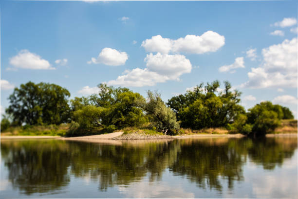 European wilderness, Elbe River, Germany, view from water side