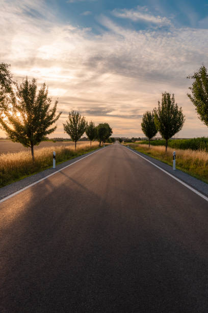 istock Endless street surrounded by trees at sunset 1024119880