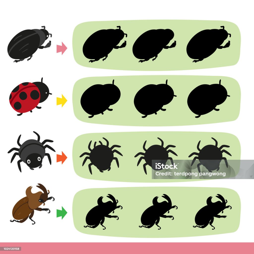 Bug Racing Vector Bug Game Vector Collection Design Stock Illustration - Download Image ...