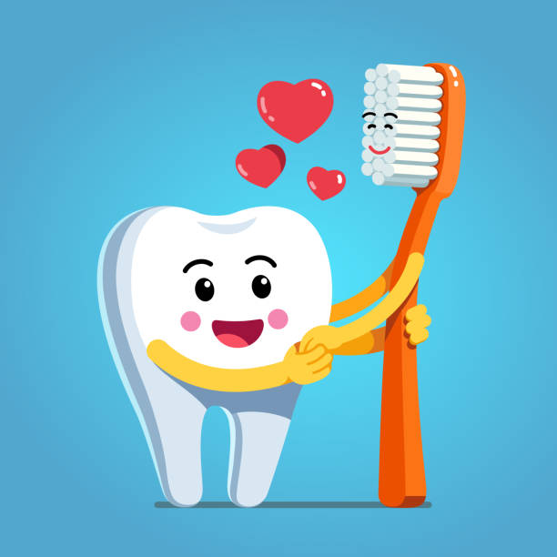 Smiling toothbrush holding hands and embracing  funny happy cartoon tooth character expressing love & romance. Flat isolated vector Funny happy cartoon tooth character holding hands and embracing smiling toothbrush expressing love & romance. Motivational clipart. Children dentistry, teeth hygiene character. Flat vector illustration tooth enamel stock illustrations
