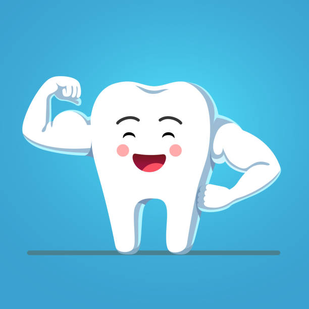 illustrazioni stock, clip art, cartoni animati e icone di tendenza di dente bodybuilder forte e sano che mostra robusti bicipiti smaltati. clipart motivazionale. vettore isolato piatto - human teeth dental hygiene dentist office human mouth