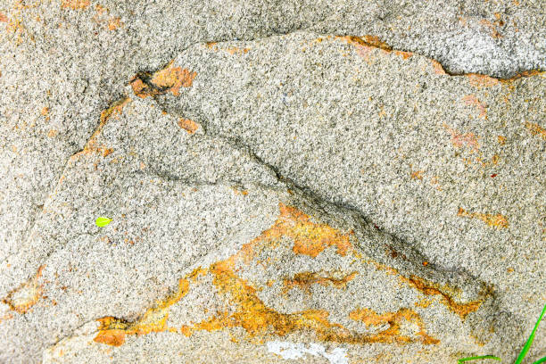 istock Cement seamless texture of the floor . The surface  seamless pattern. 1024128794