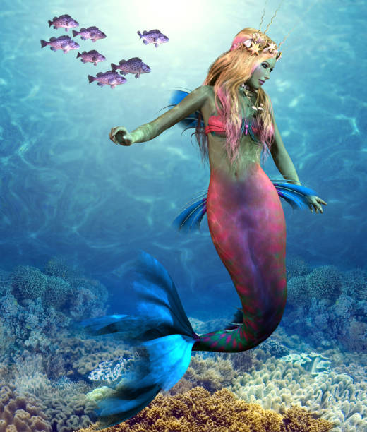 Coral Reef Mermaid A school of Blue Rockfish swim along side of a beautiful mermaid as she glides along an ocean reef. sebastinae photos stock pictures, royalty-free photos & images