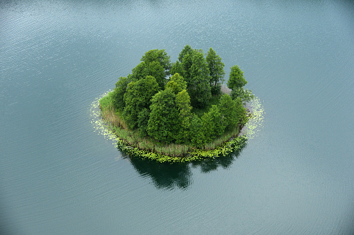 Top view of a small green island in the blue sea, ocean, river, lake.