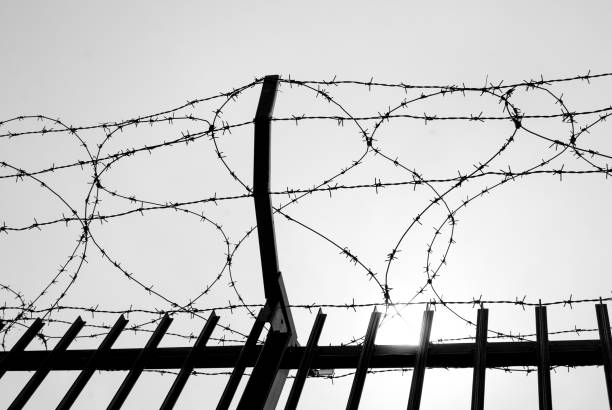 istock Barbed wire in a military area 1024145332
