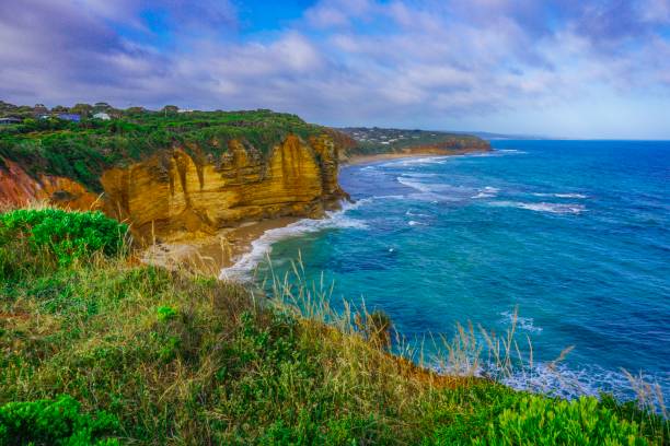 plage de la great ocean road en australie - victoria state photos et images de collection