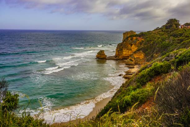 istock Beach at the Great Ocean Road in Australia 1024145546