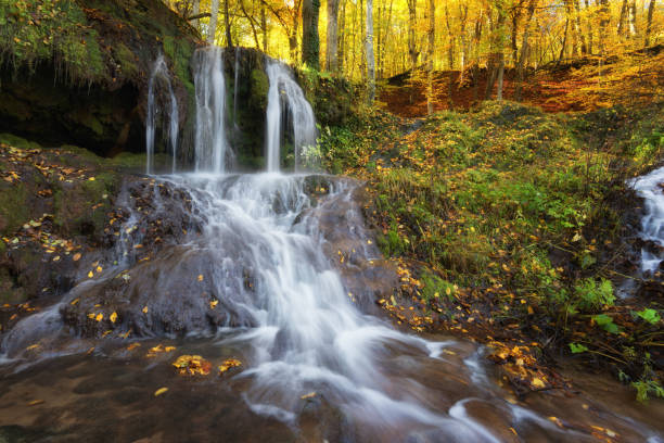 wodospad dokuzak w strandja góry, bułgaria jesienią. piękny widok na rzekę z wodospadem w lesie. - beauty in nature clean cool stream zdjęcia i obrazy z banku zdjęć