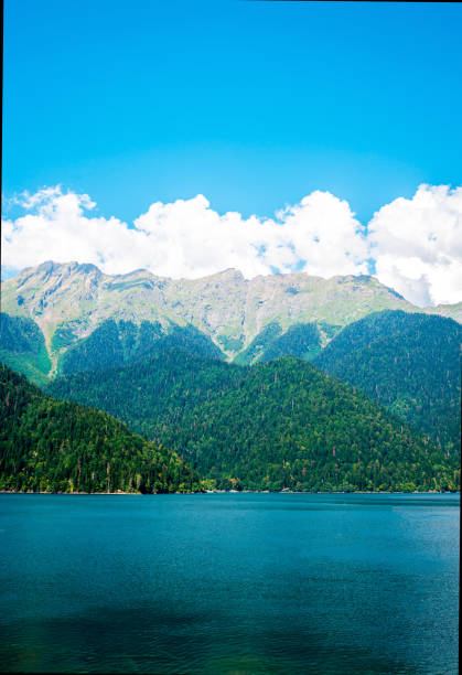 clear blue lake in the mountains - new zealand forest landscape mountain imagens e fotografias de stock