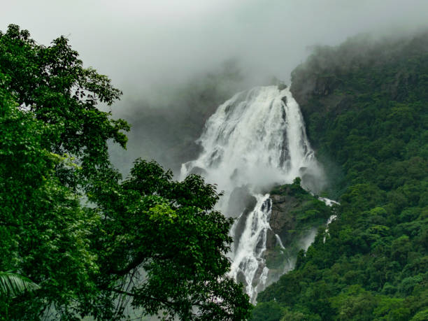 istock Image Of Dudhsagar waterfall and Scenic Train Route in raining season , travel to goa by train, Indian Train 1024166330