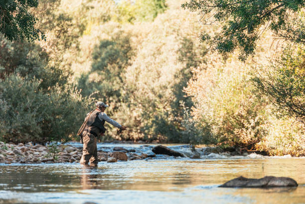 istock Fly fisherman using flyfishing rod 1024167094