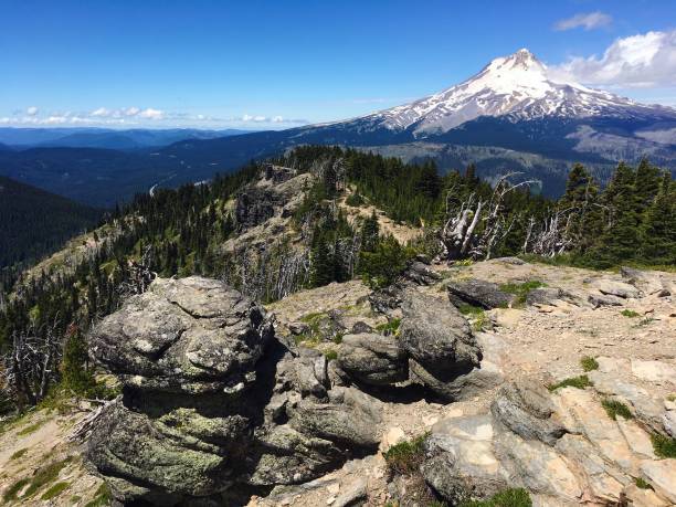 istock Mount Hood from Lookout Mountain, Oregon 1024179108