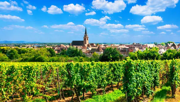 Photo of Alsace region of France - famous 