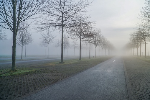 Picture is taken in 2018. It shows a wonderful street in fog.