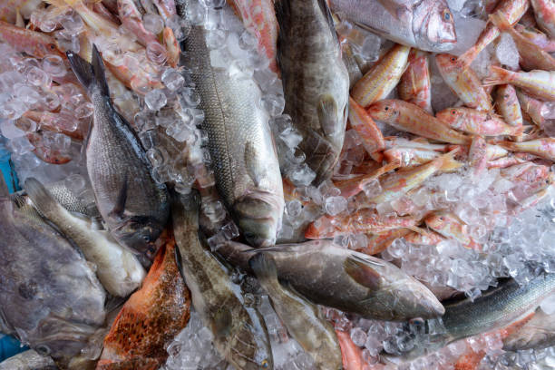 istock Fresh fishes on Turkish market stall 1024183052