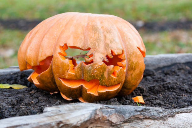 istock Carved and Painted Halloween pumpkin 1024193586