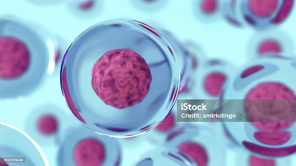 Abstract 3d cells of human or animal. Science concept 3d rendering of cells , virus or genetic molecule Biological Cell Stock Photo