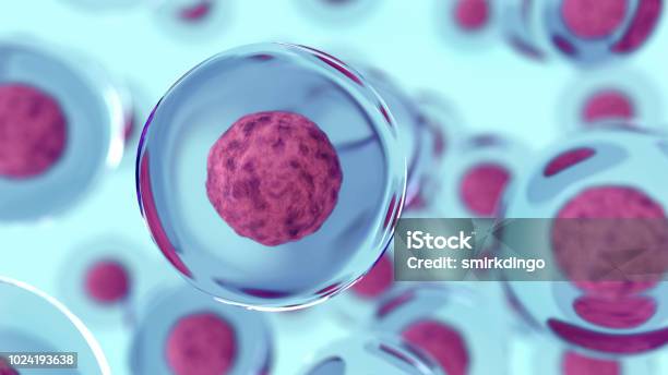 Abstract 3d Cells Of Human Or Animal Science Concept Stock Photo - Download Image Now
