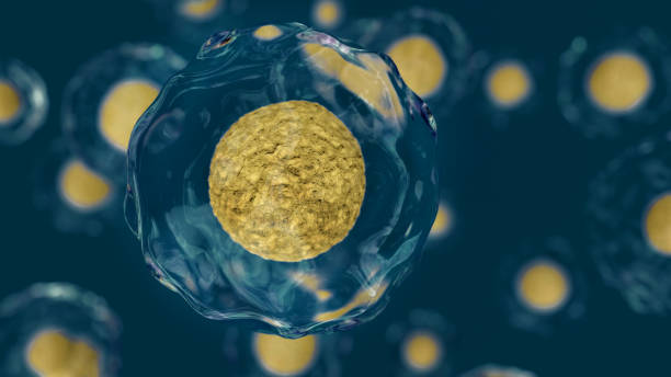 세포, 박테리아, 바이러스, 분자 생물학 개념 배경 - stem cell human cell animal cell science 뉴스 사진 이미지