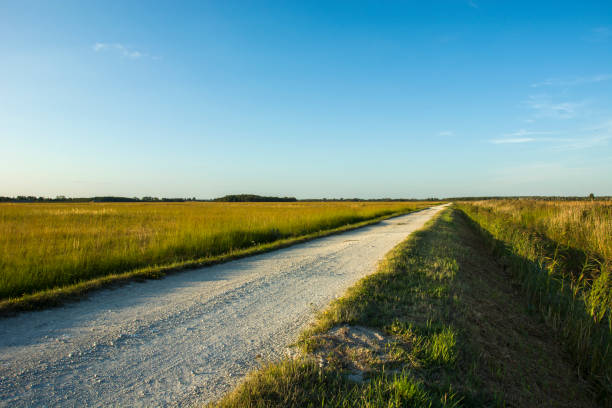 route de caillou à travers des prairies sauvages - road long dirt footpath photos et images de collection