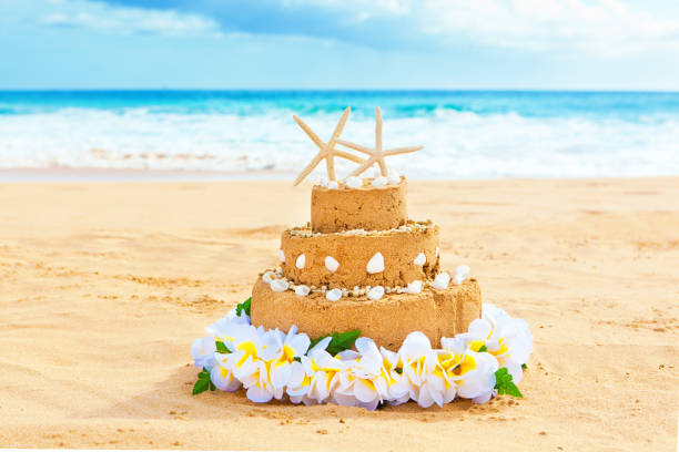 istock Destination Wedding Cake on Tropical Beach 1024206116