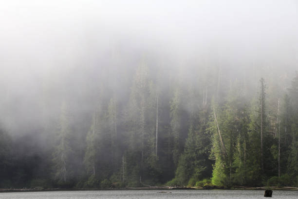 istock Schoen Lake Provincial Park 1024215128