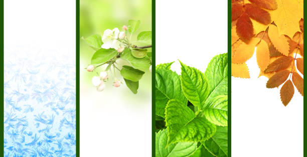 istock Four seasons of year 1024215154