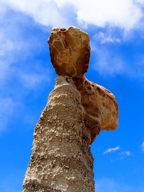 istock BISTI DE-NA-ZIN WILDERNESS - NM 1024229244