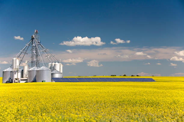 raps getreide-silo-solar-panel - canola stock-fotos und bilder
