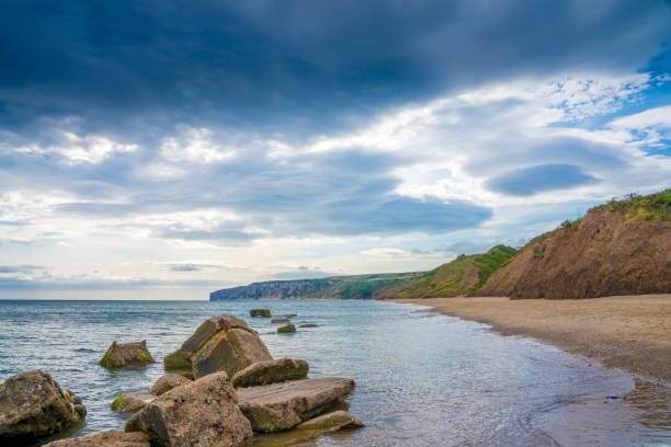 Filey bay Beach on Yorkshire coast near Reighton Gap Filey bay Beach on Yorkshire coast near Reighton Gap and Speeton at sunrise east riding of yorkshire photos stock pictures, royalty-free photos & images