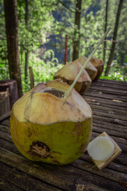 istock Coconut water drink for thirsty visitor 1024243484