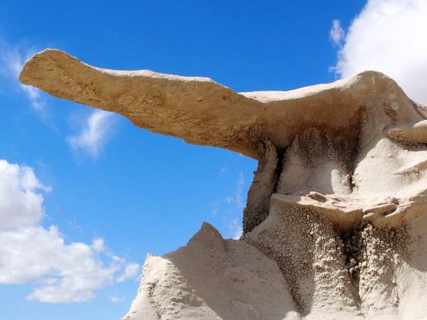 istock BISTI DE-NA-ZIN WILDERNESS - NM 1024248410