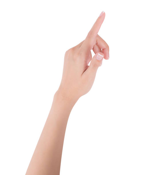 istock Woman hand pointing up with index finger or touching screen, back hand side, isolated on white background. 1024248672