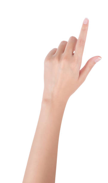 istock Woman hand pointing up with index finger or touching screen, back hand side, isolated on white background. 1024248674