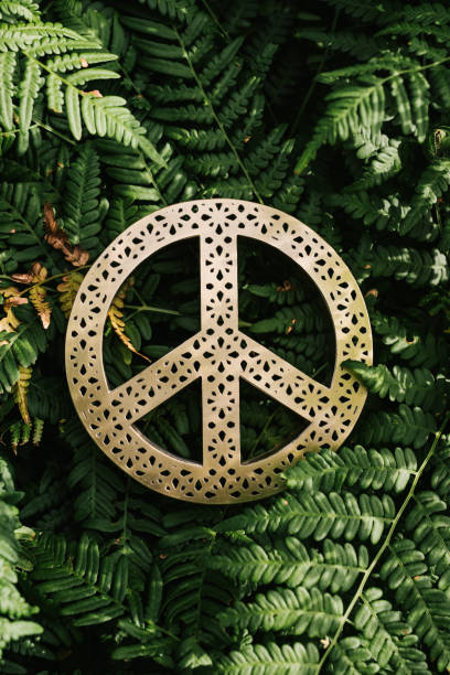 istock Peace symbol in nature enviroment concept 1024253562