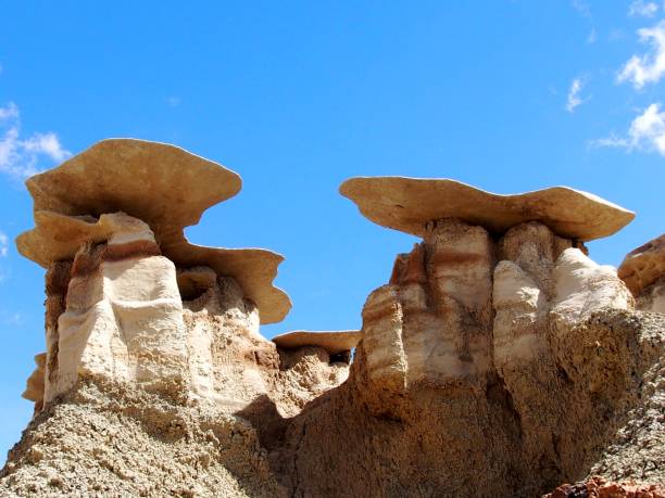 istock BISTI DE-NA-ZIN WILDERNESS - NM 1024253670